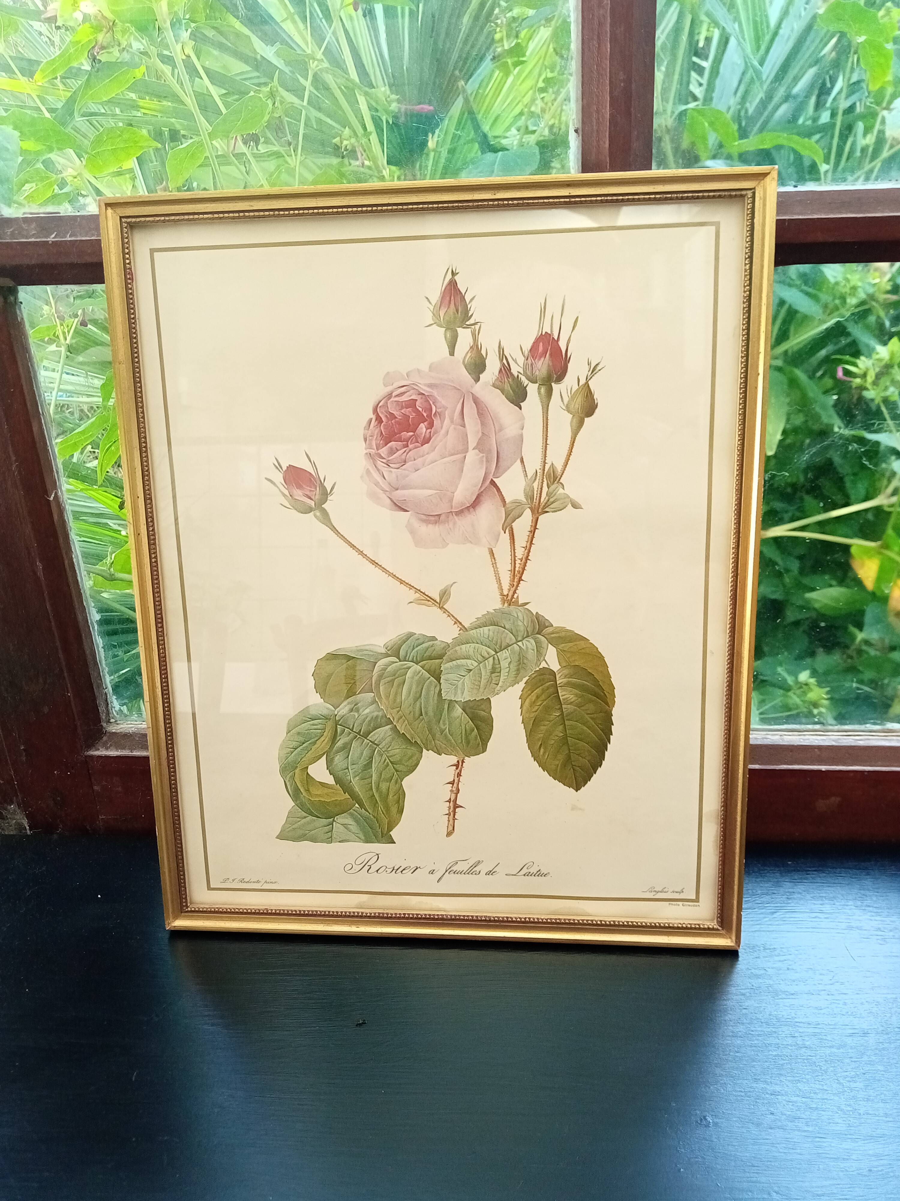 Redouté botanical board