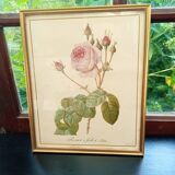 Redouté botanical board