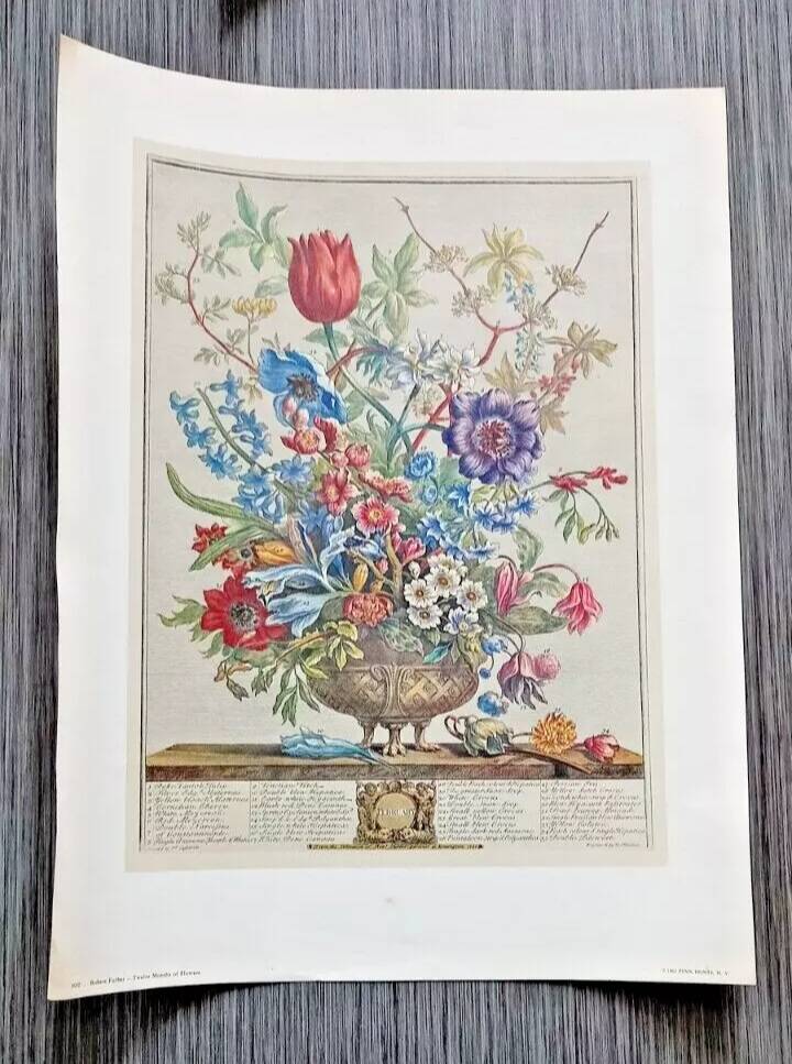 Lot of 19th century Floral Engravings - Vintage Art Print Flowers - 12 months - Robert Furber