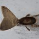 Brass fly ashtray 50s