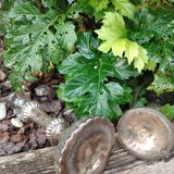 Eglomisé glass candle holders