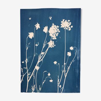 Botanical cyanotype ombelles