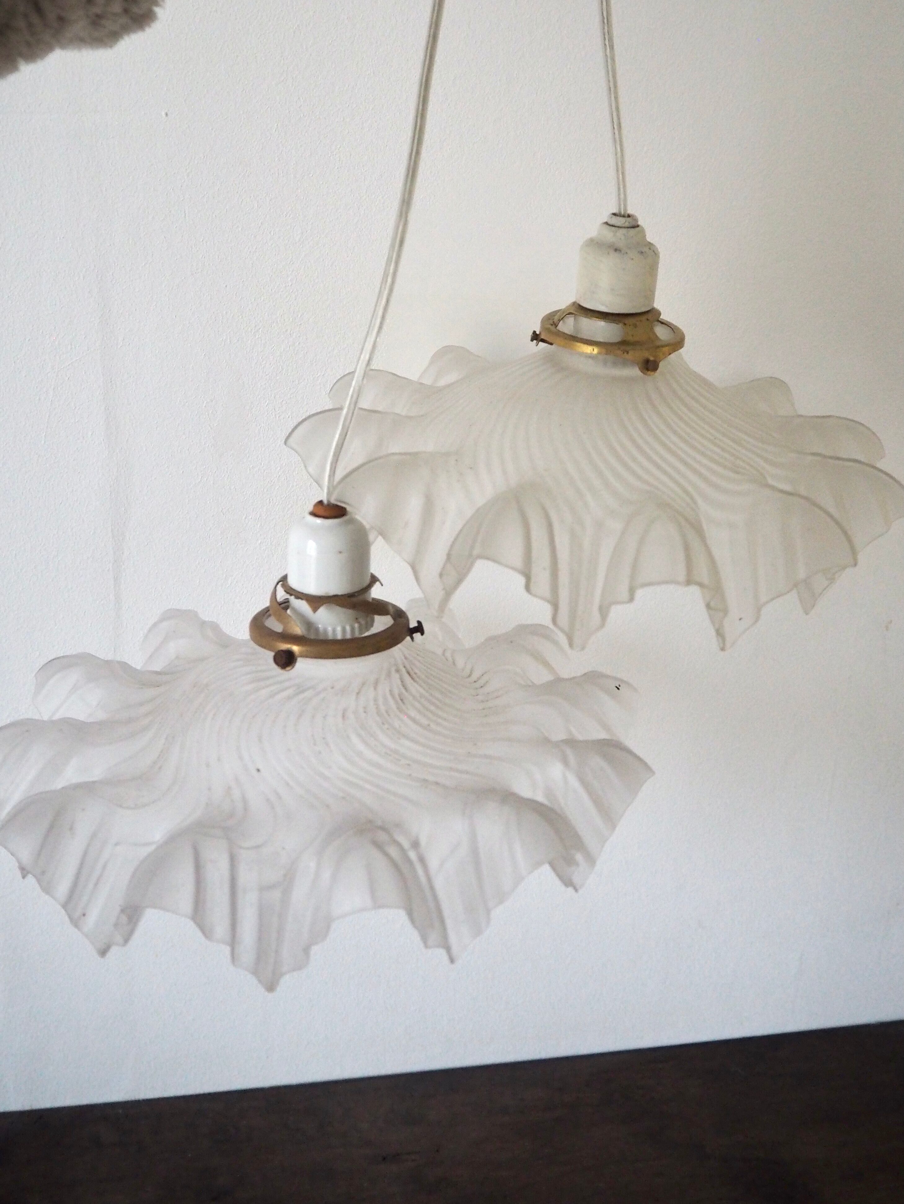 Pair of frosted glass flower pendant lamps