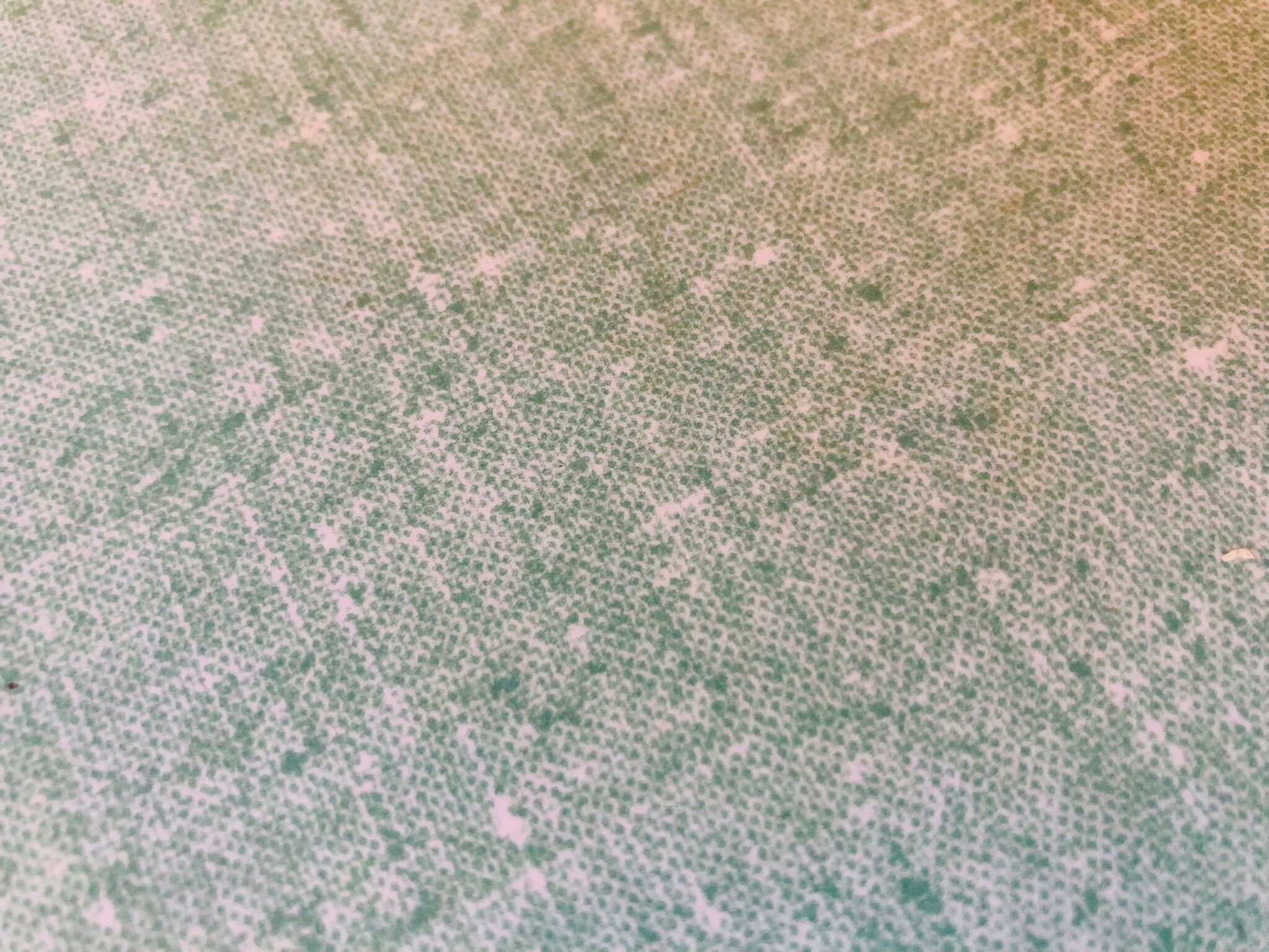 Vintage "Model 92" stool by Baumann, 1950's