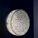 Vintage Holophane ceiling light or wall sconce