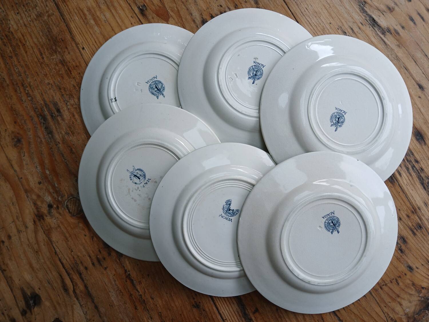 Set of 6 Terre de Fer plates, Acacia model