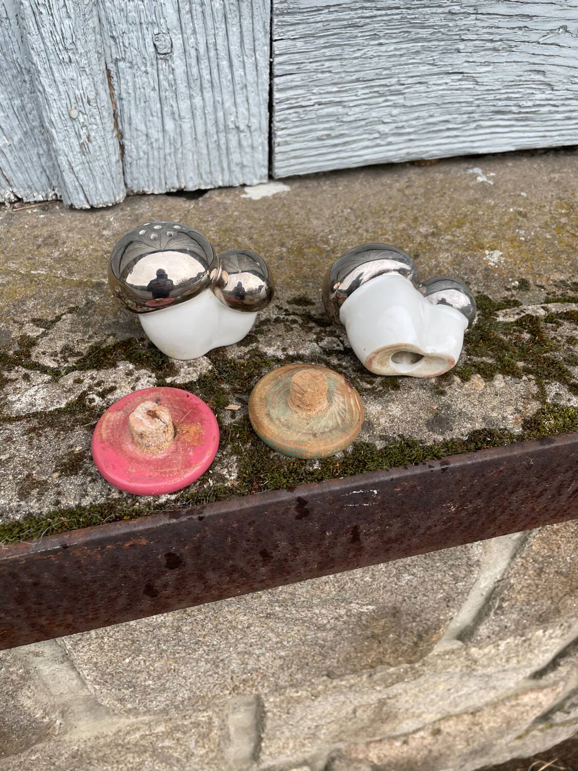 Antique porcelain salt and pepper shaker with mushrooms