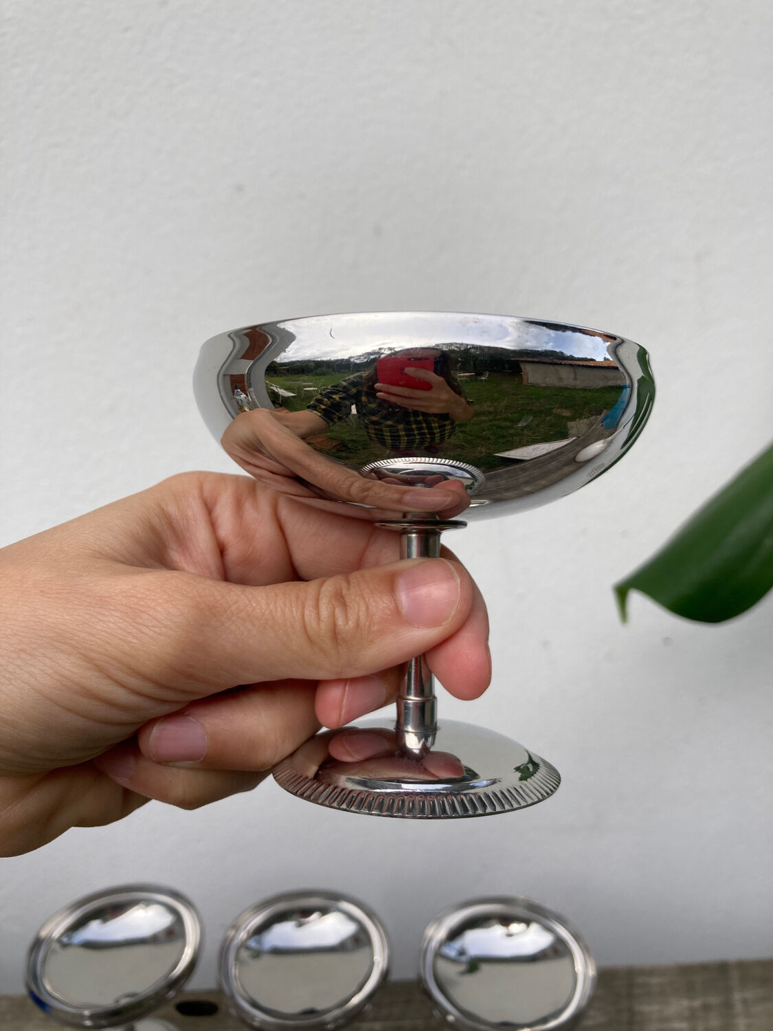 6 coupes inox Letang Remy