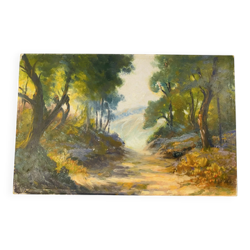 Huile sur bois début XXeme Vue d’un sous bois