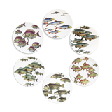 Vintage Set 'Passata Di Pesce' by Piero Fornasetti, 1955