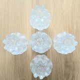 Set of 5 tulips from the 1960s (L-0194)