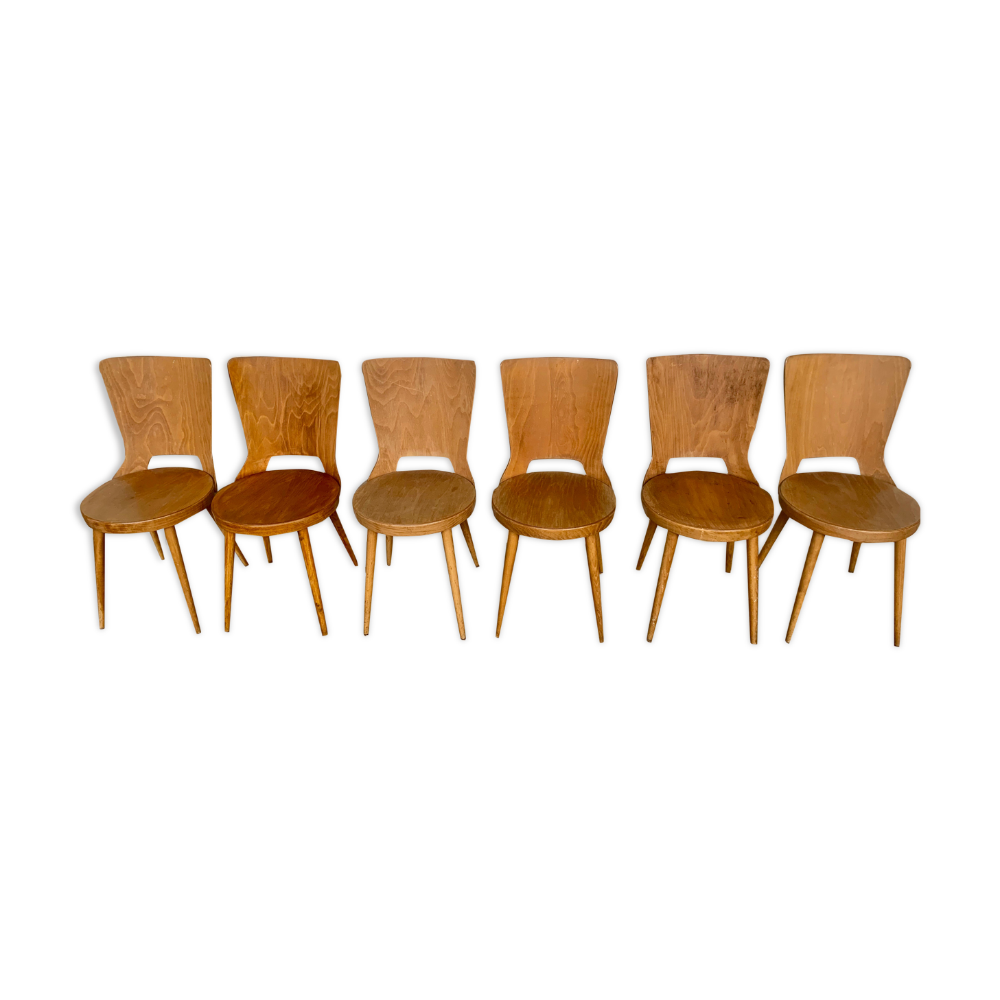 Series of 6 chairs bistro Baumann model Dove year 1950/1960