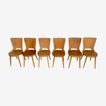 Series of 6 chairs bistro Baumann model Dove year 1950/1960