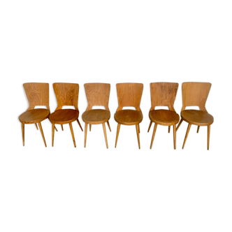 Série de 6 chaises bistrot Baumann modèle Dove vintage année 1950/1960
