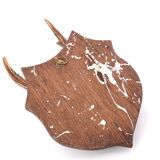 Deer antlers, wall trophy