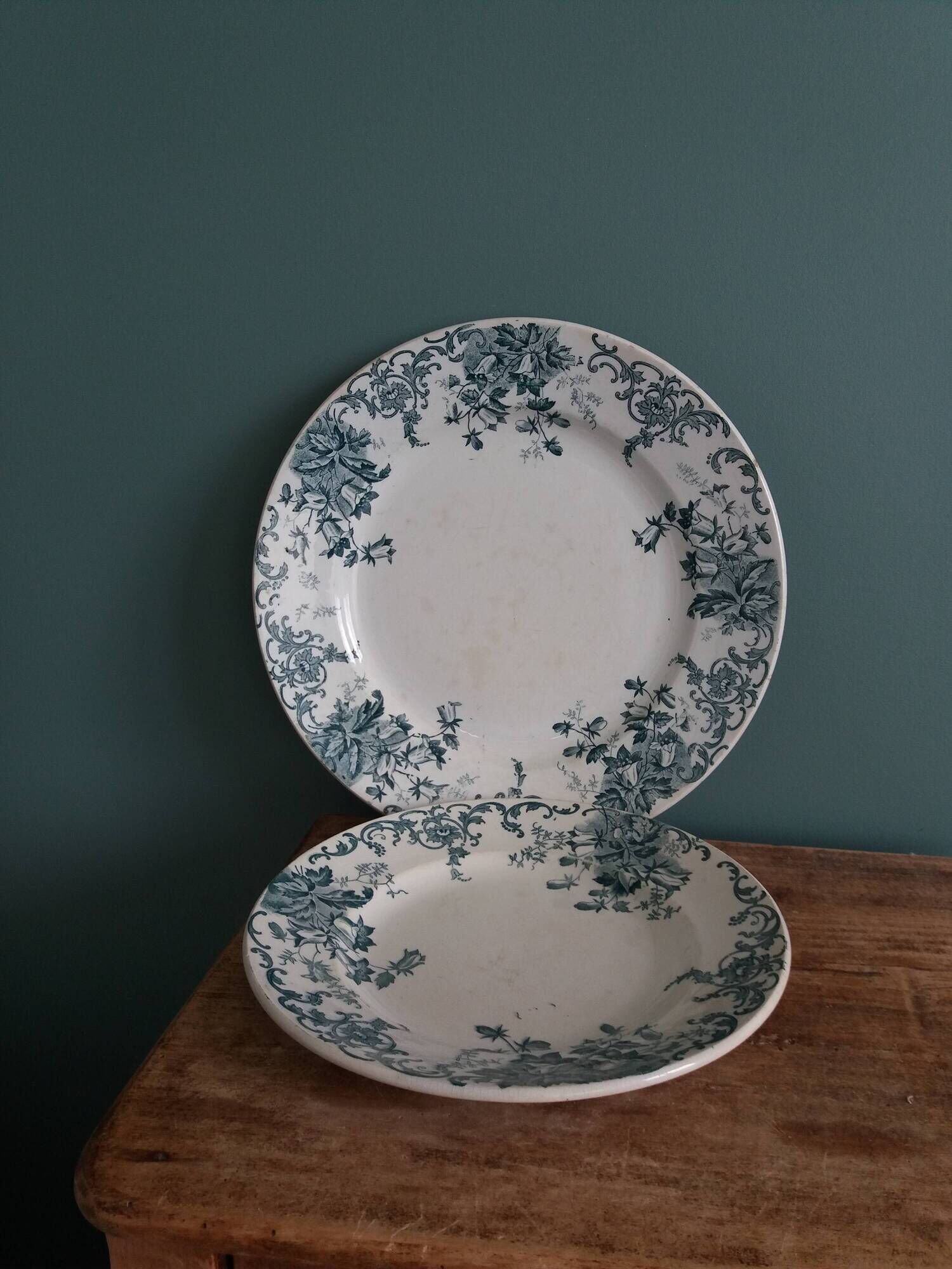 Set of dishes and plates from Terre de fer Saint Amand and Hamage Campanule