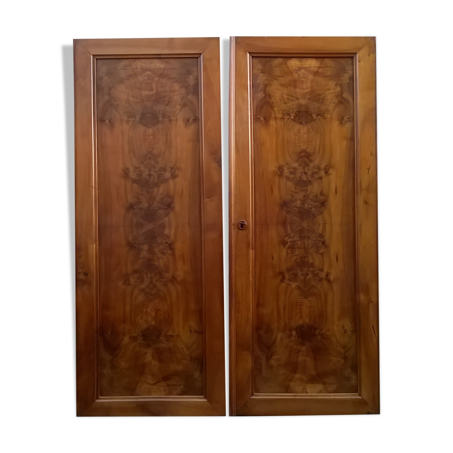 Old pair of wardrobe doors