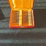 Snail service appolonox