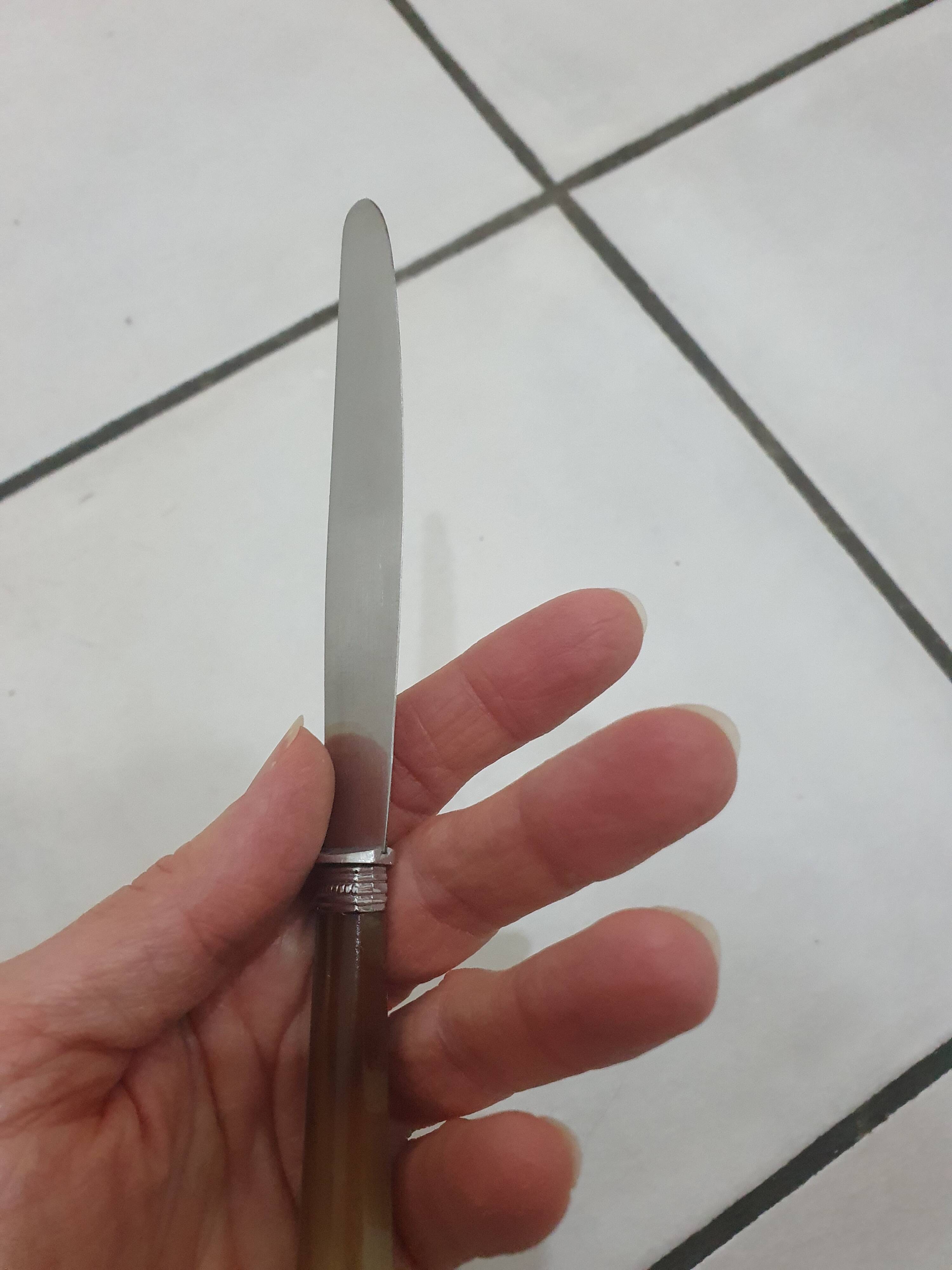 Stainless steel table and dessert knives with mother-of-pearl handles