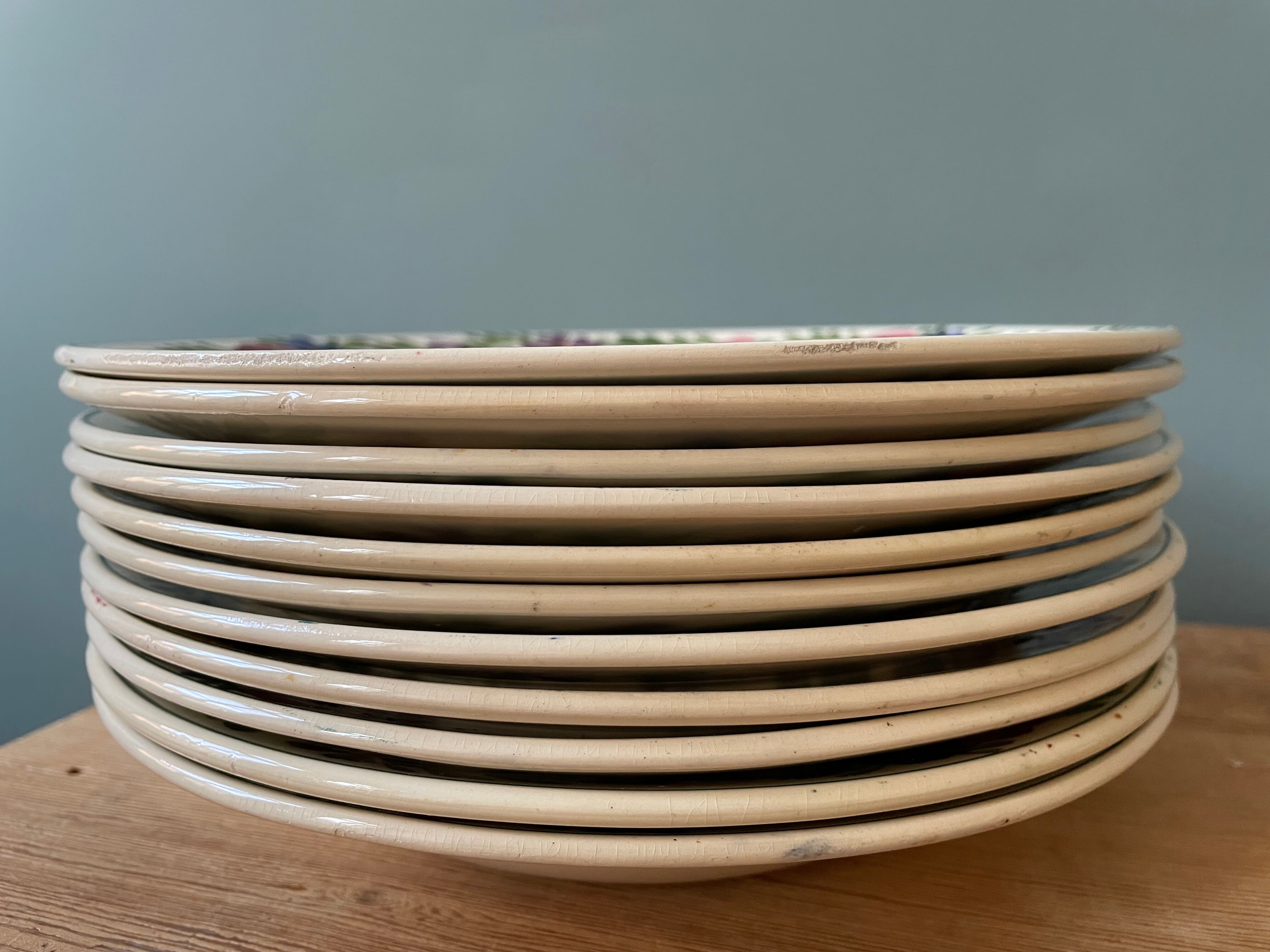 Set of 11 hollow plates in Sarreguemines earthenware, Rusticana model