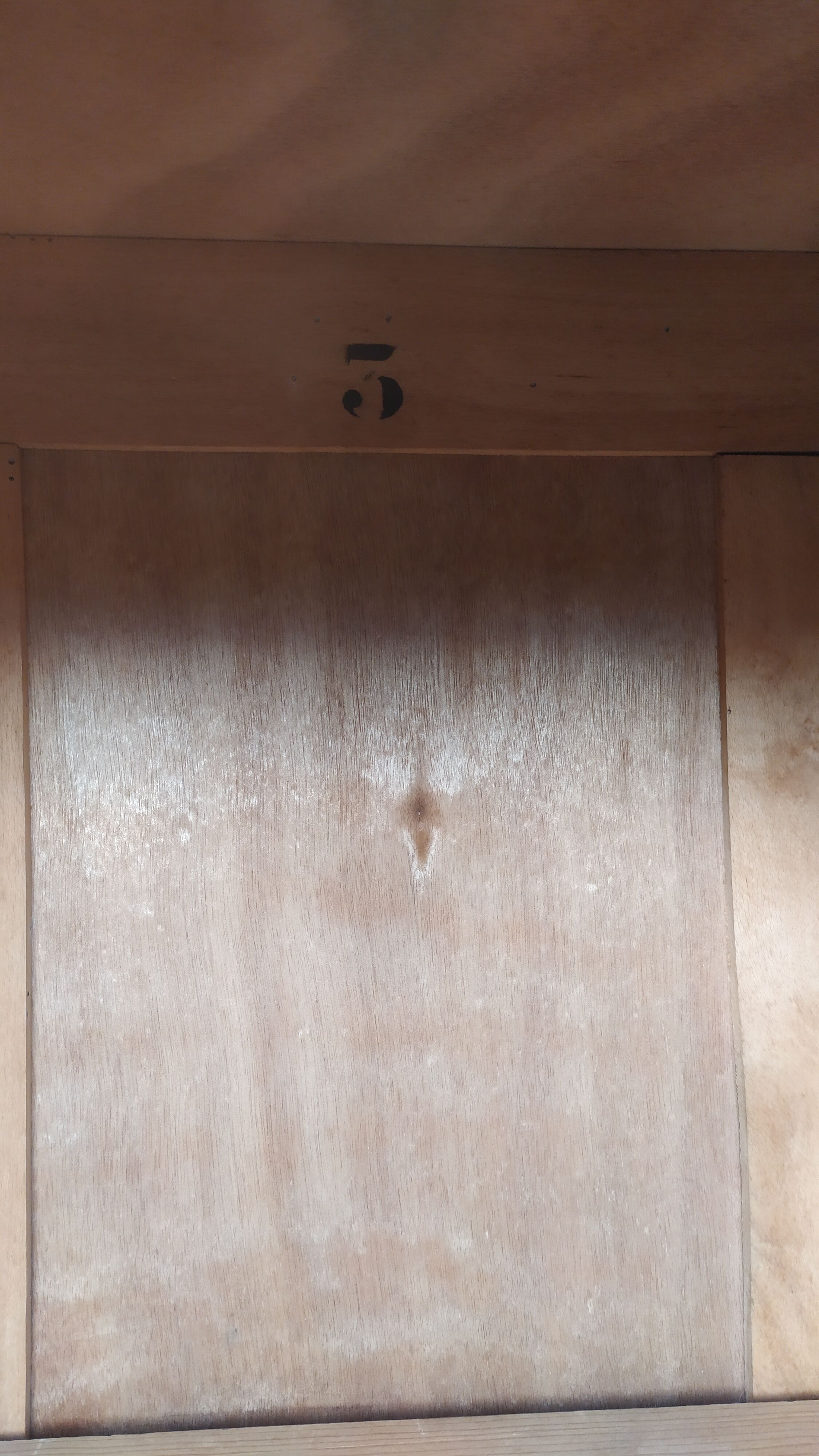 Parisian art deco wardrobe