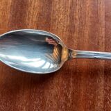 10 spoons ercuis trianon silver metal