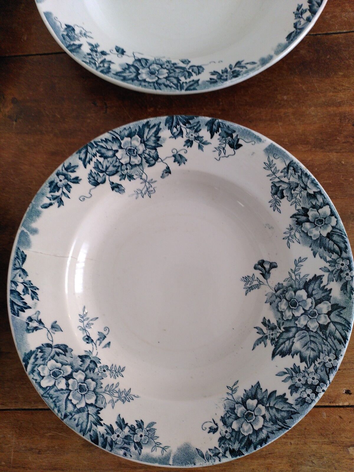Set of flat and hollow plates in Terre de Fer Saint Amand & Hamage