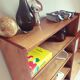 Vintage library / modernist vintage storage cabinet