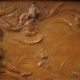 French terracotta bas-relief, Venus with Faun from 20th century
