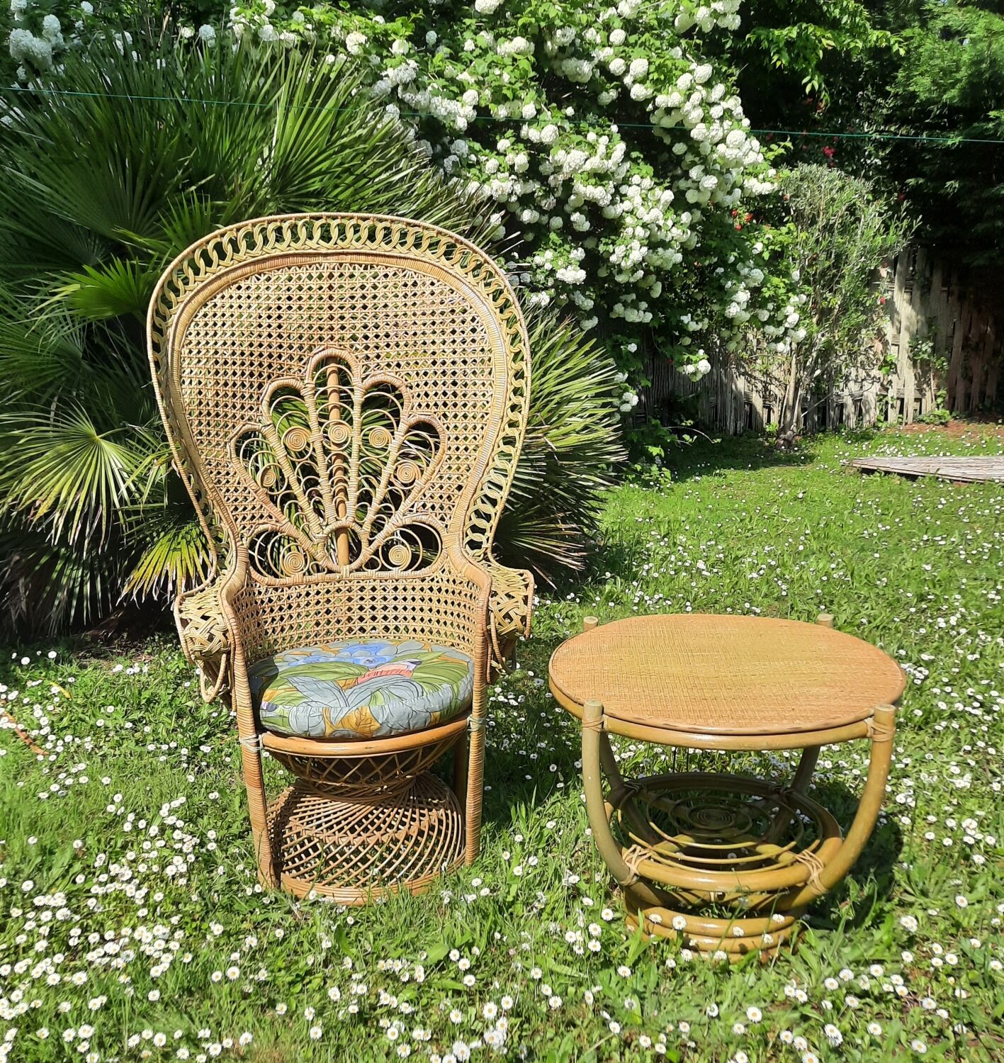 Fauteuil "Emmanuelle"