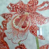 Orchid watercolor
