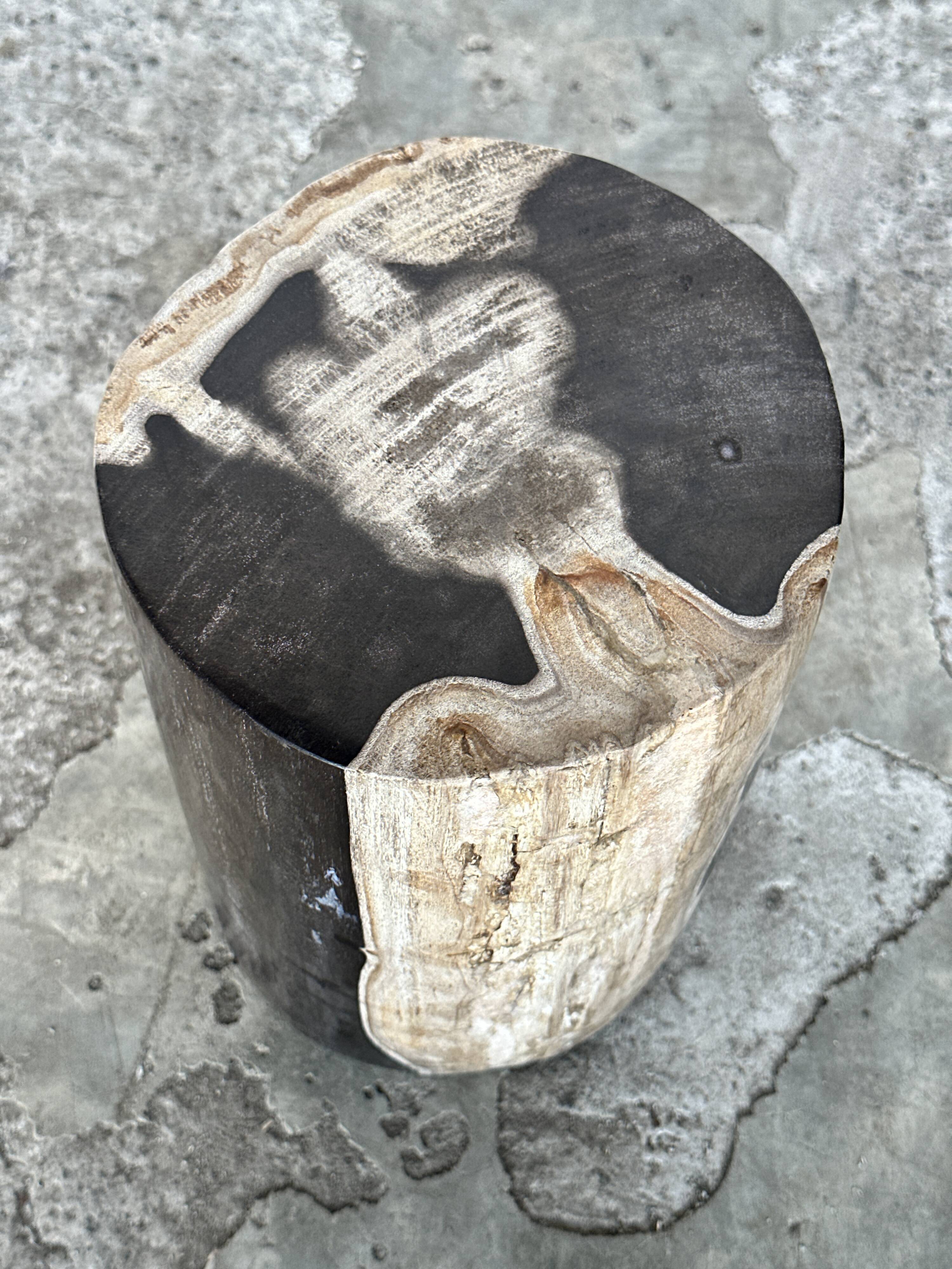 Small black, white and gray petrified wood side table H28cm D:18.5