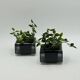 Paire de cache-pots Space Age noirs par Anna Mazzucchelli pour Vastill, Italie