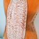 African sconce