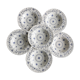 6 assiettes Myott en porcelaine anglaise