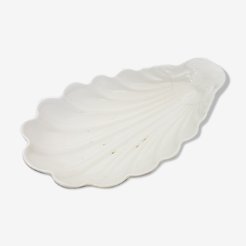 Large porcelain shell