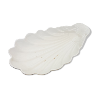 Large porcelain shell