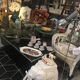 1970 chrome and glass table