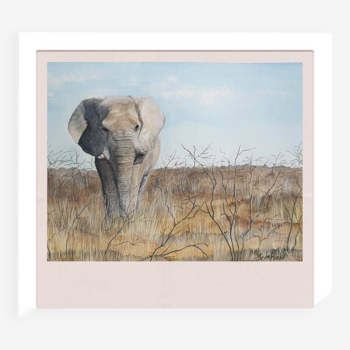 Tirage fine art de l'aquarelle "L'éléphant d'Afrique"