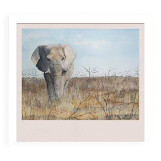 Tirage fine art de l'aquarelle "L'éléphant d'Afrique"