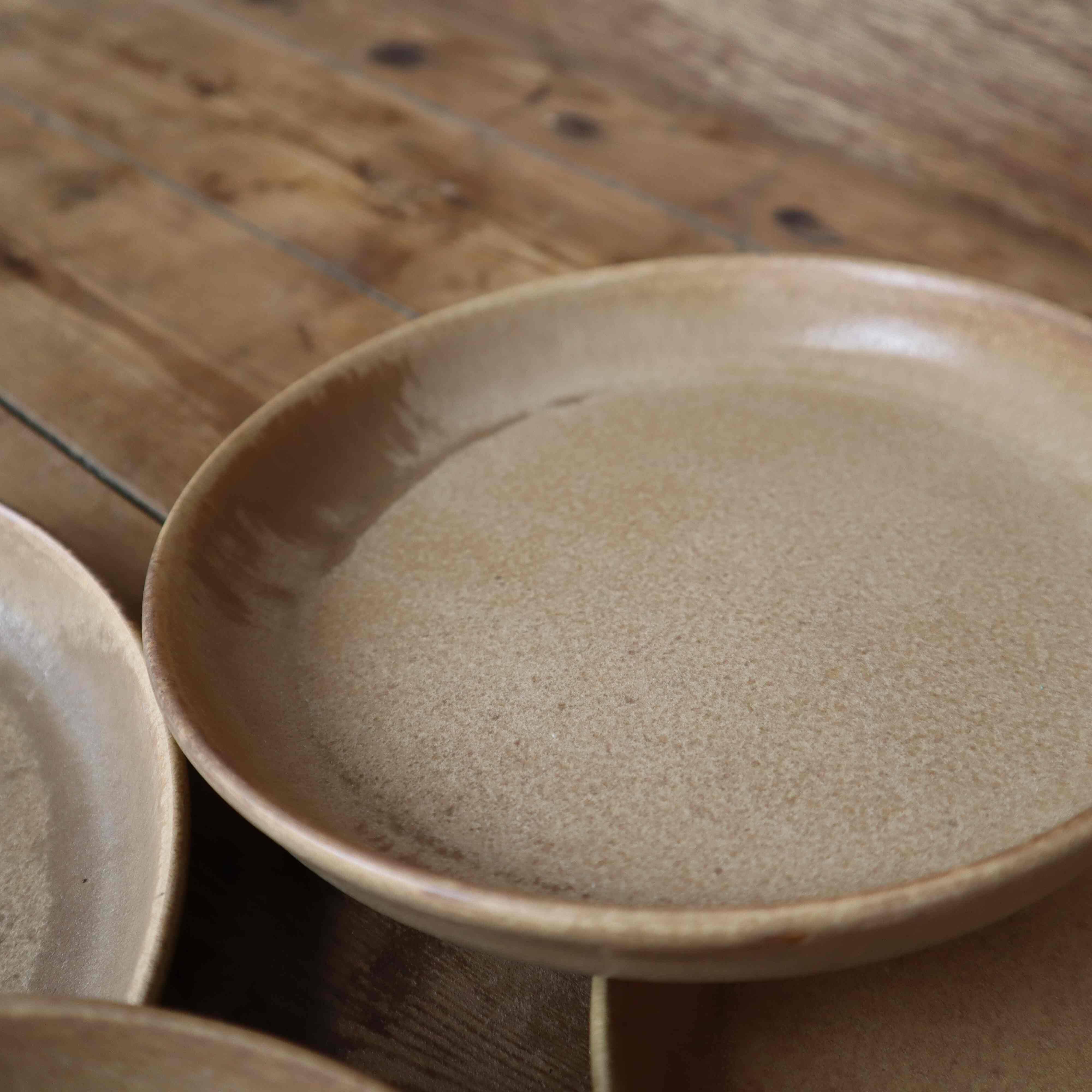 6 stoneware rimmed dinner plates