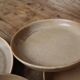 6 stoneware rimmed dinner plates