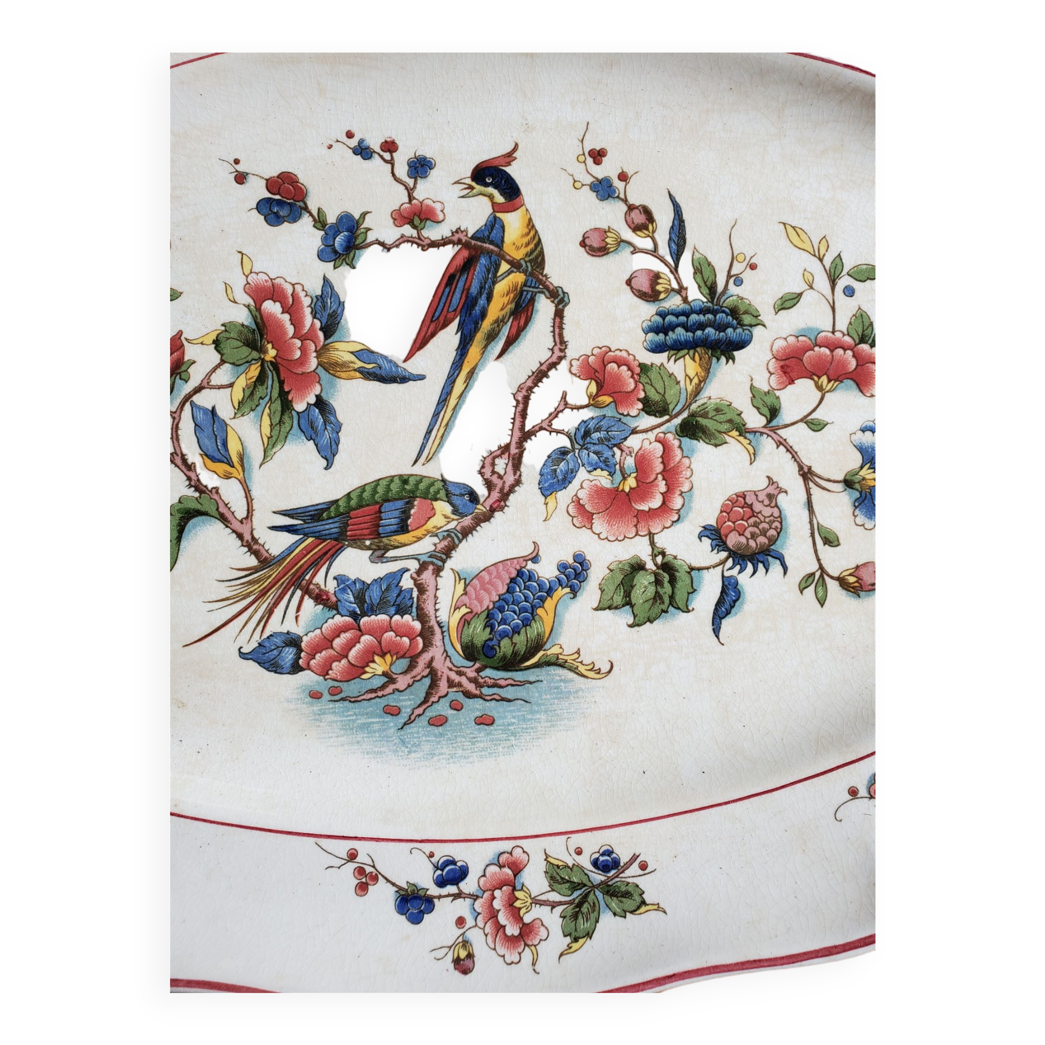 Plat Villeroy & Bosch