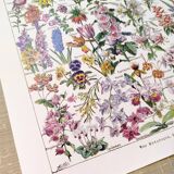 Affiche sur les fleurs, d'après une lithographie de 1922