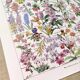Poster about flowers, after a 1922 lithograph