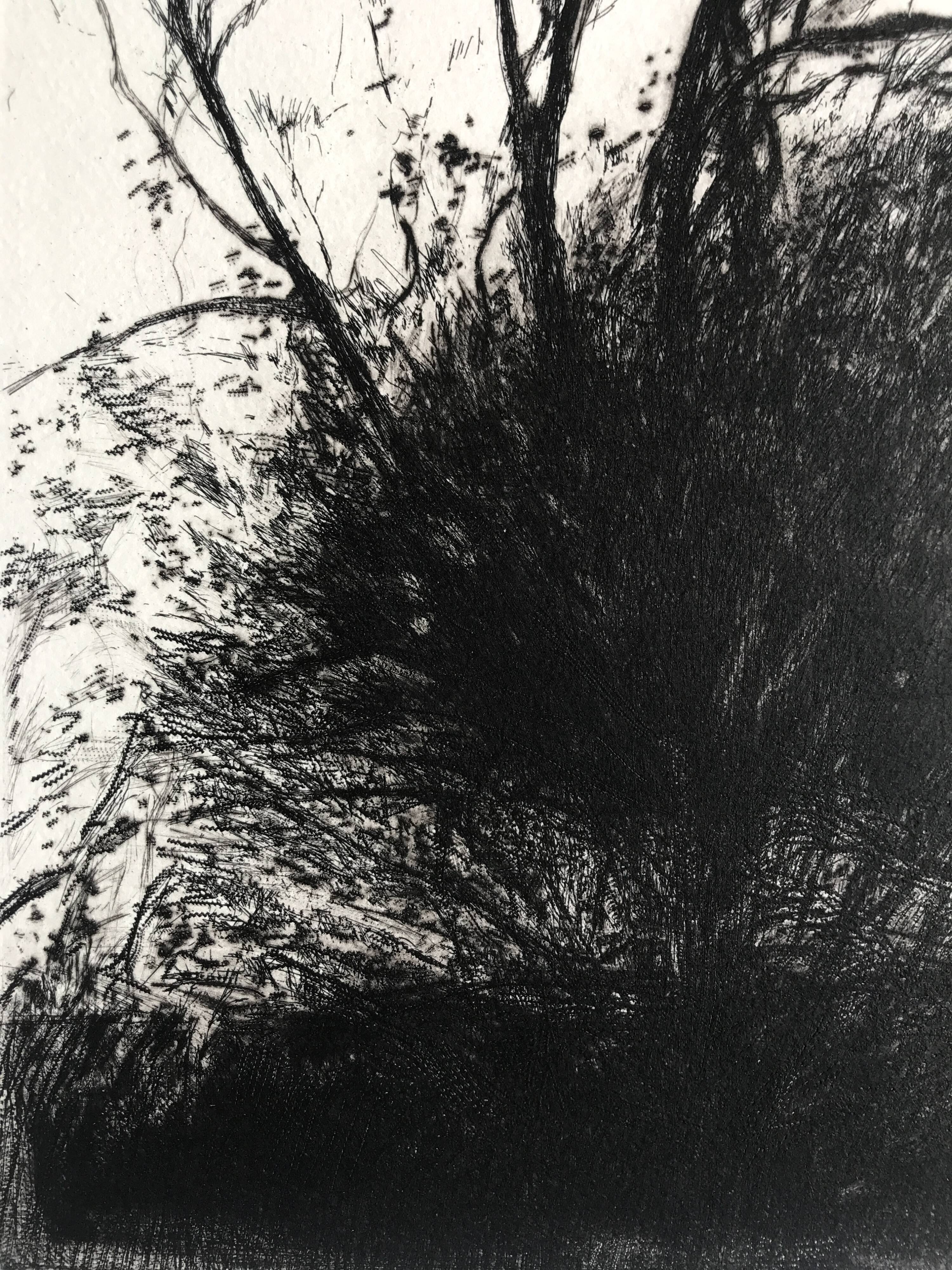Nicole BOUHARMONT, Tempête, 2013. Original signed drypoint