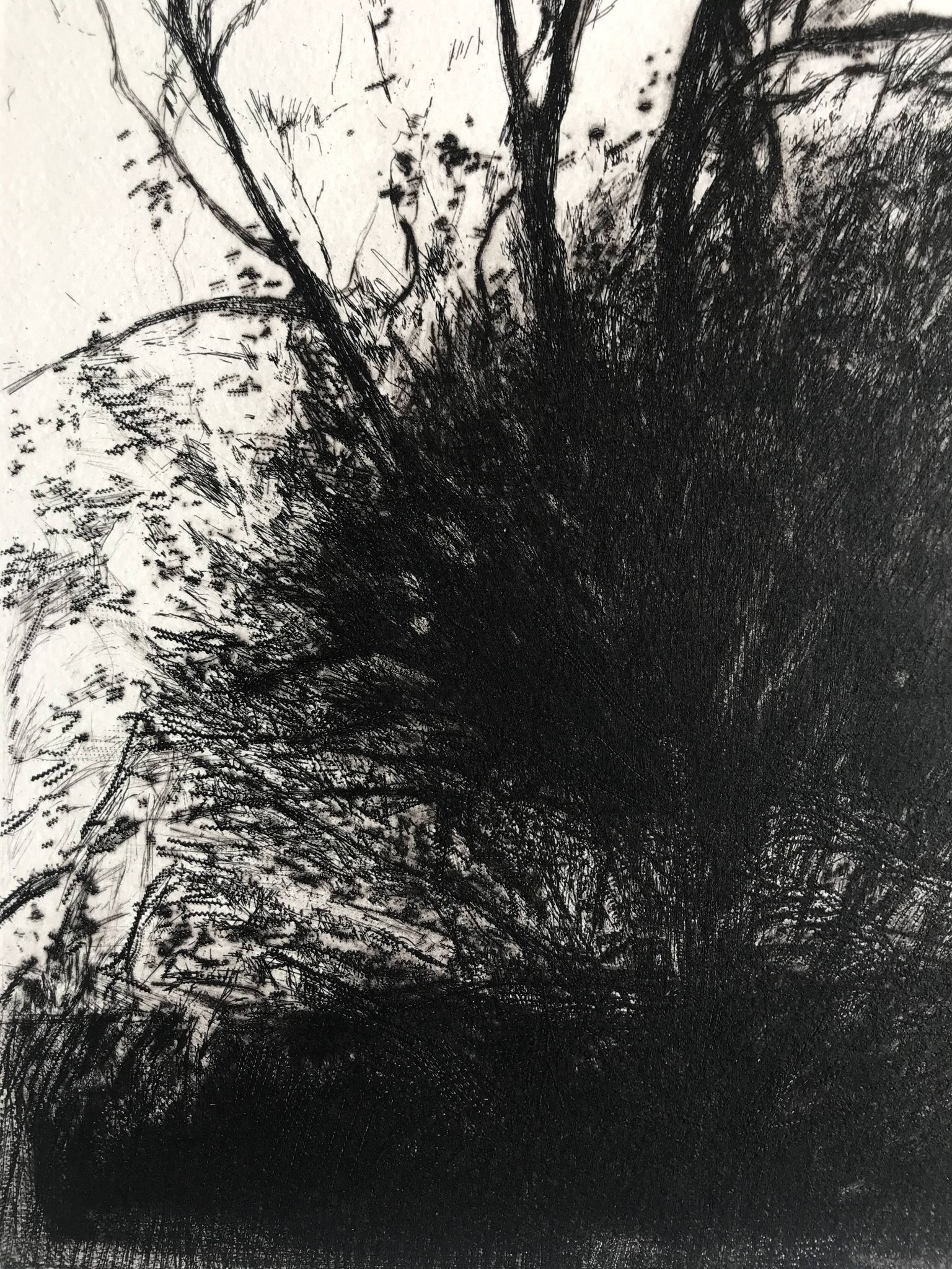 Nicole Bouharmont, tempête, 2013, pointe sèche originale signée