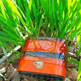 Orange vintage scale