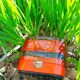 Orange vintage scale
