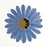 Mid-Century Modern Palm Leaves Big Chandelier Murano Glass and Brass